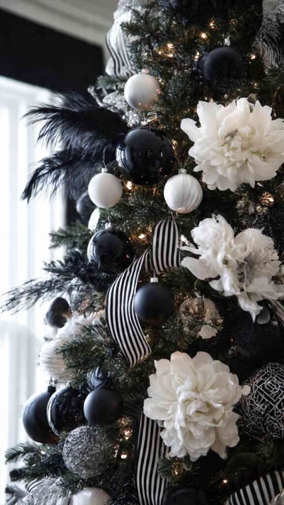 Elegant Black and White